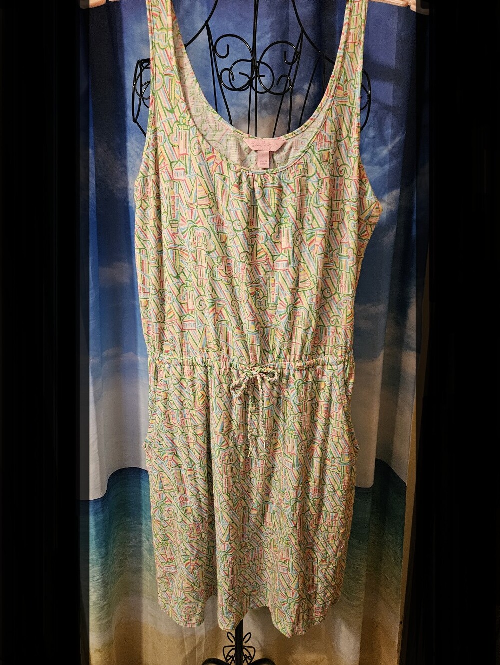 Lilly Pulitzer l Sleeveless Casual Summer Dress in Pastel Multi-Color - Picture 5 of 9